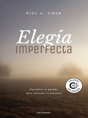 cover image of Elegía imperfecta